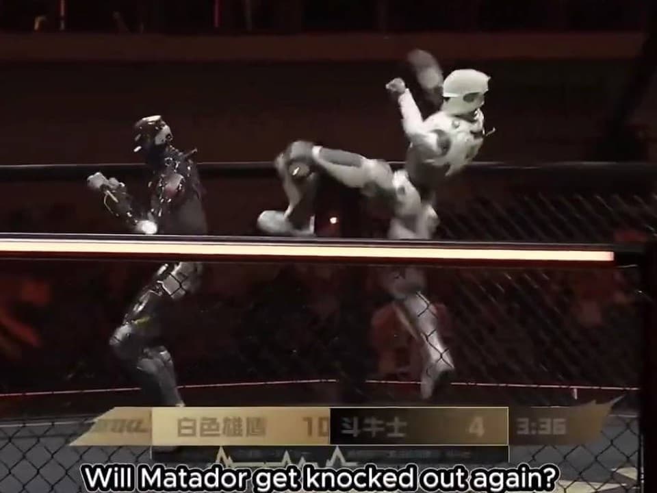 En Chine, des robots humanoïdes s’affrontent en MMA sous les yeux de Donnie Yen